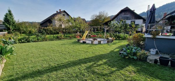 Pred ureditvijo zelenice