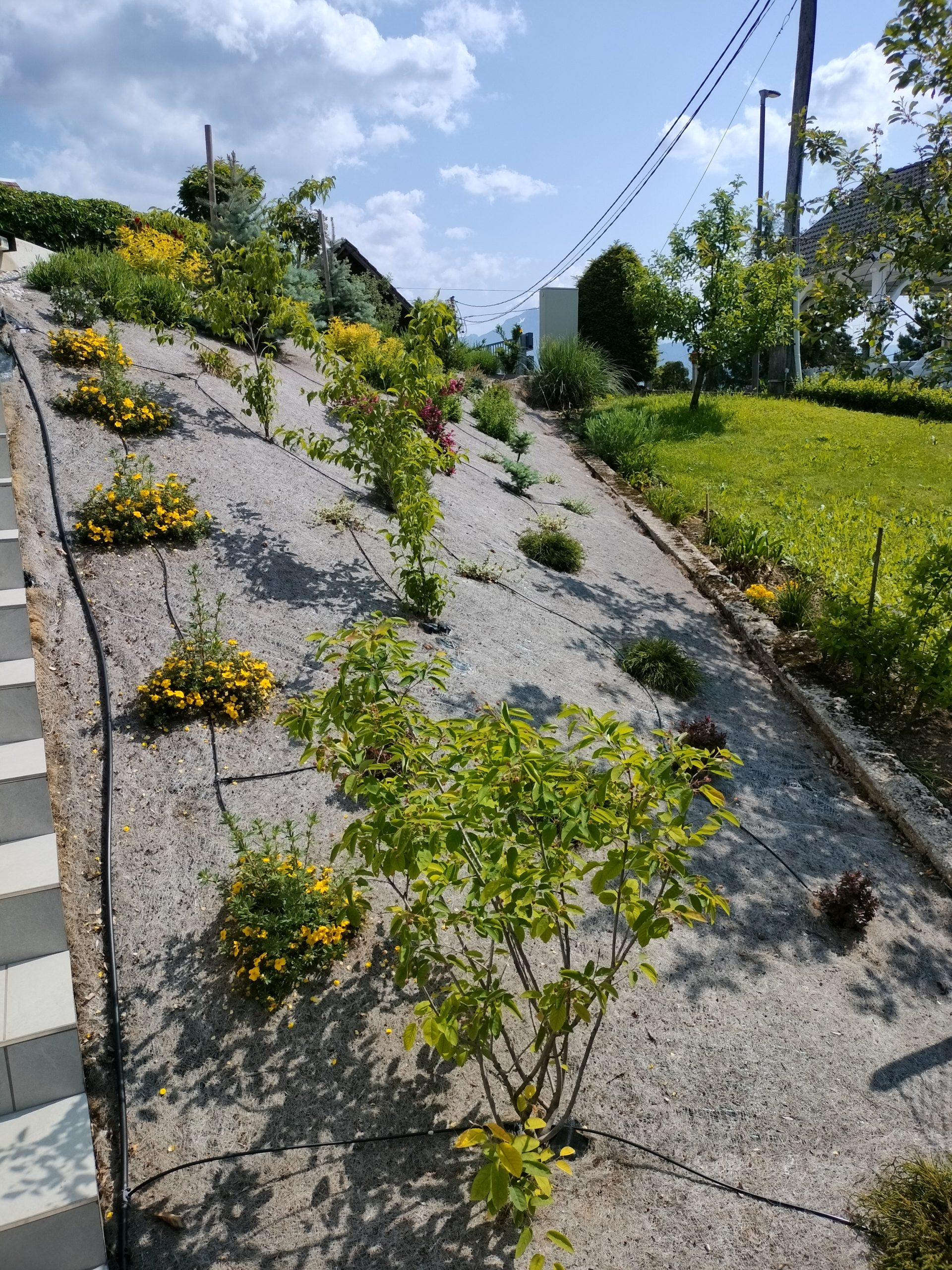 Profesionalne vrtnarske storitve - Urejanje brežin