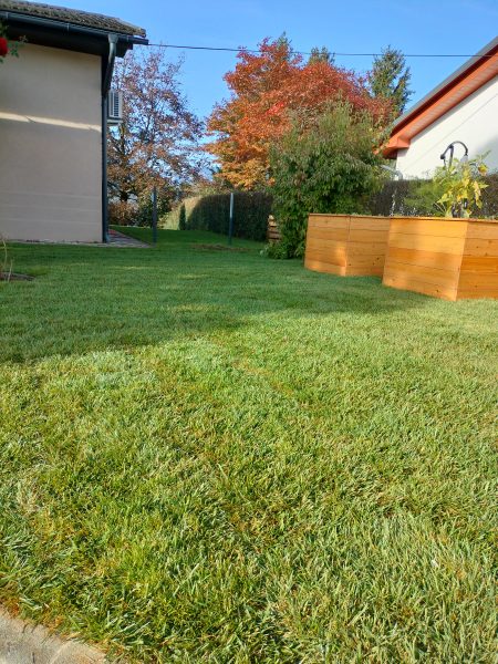 Pred polaganjem ruše